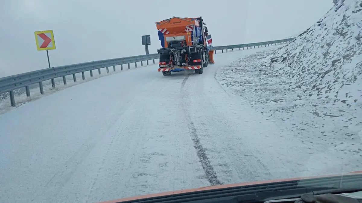 ninge abundent transfagarasan