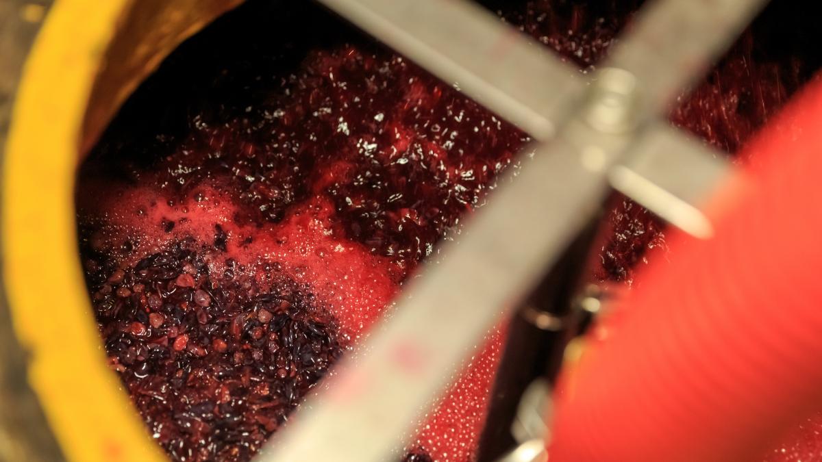 pericol fermentare mustului dioxid de carbon acumulat intoxicatii grave