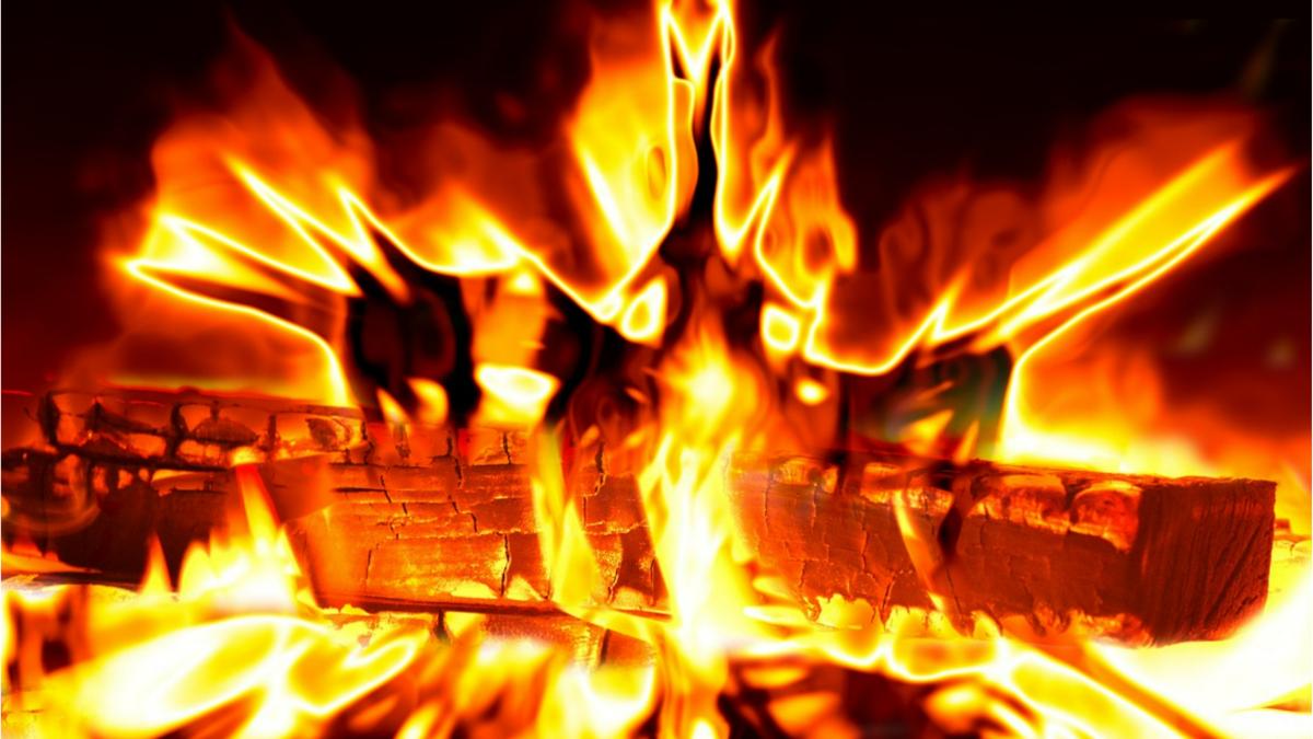 preturi lemne foc iarna 2022 2023