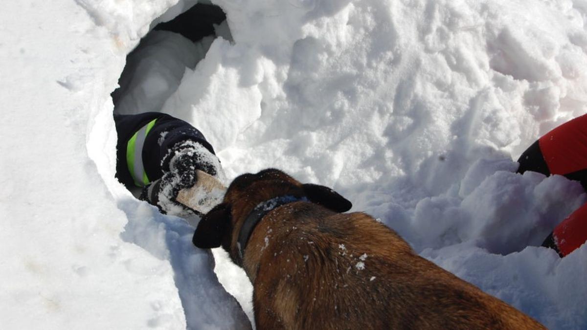 avalansa himalaya morti grup elevi