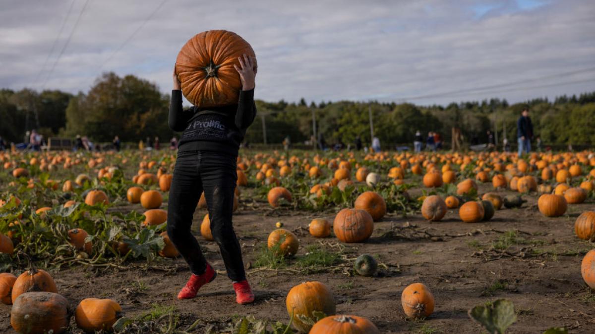 cat castiga muncitori romani suedia camp 12 ore zi