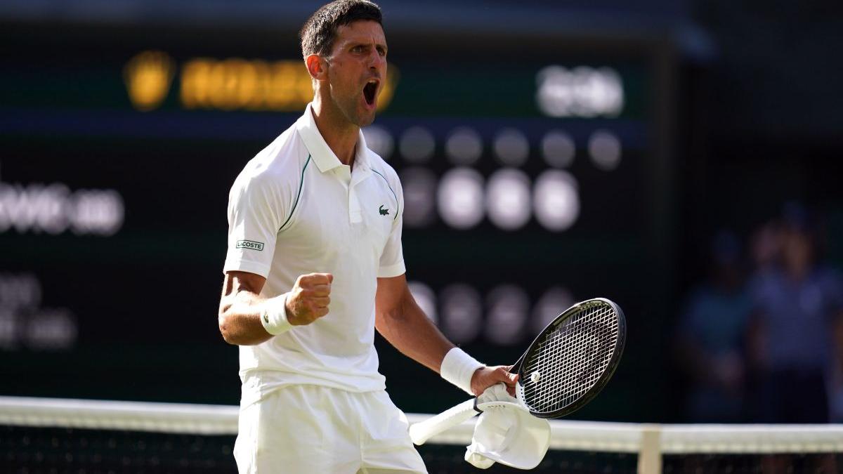 specie gandac novak djokovici insecta rapida