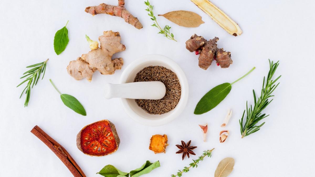 dr daniela busneag planta medicinala cimbrul antibiotic natural puternic