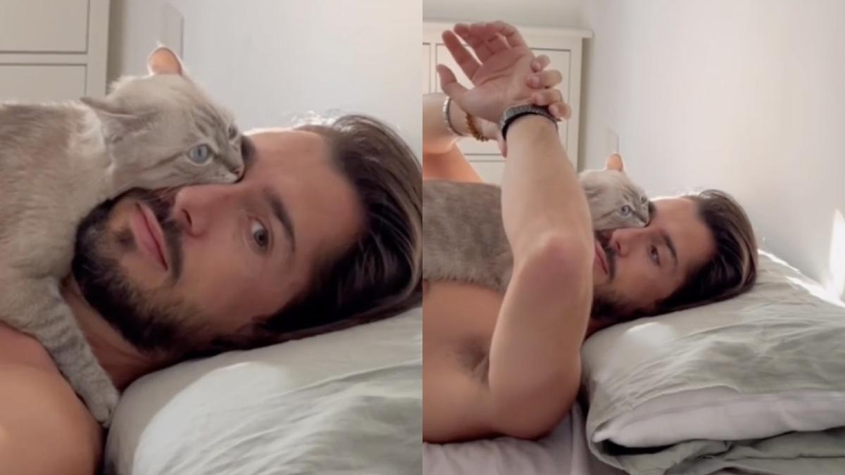 pisica virala internet filmata se relaxeaza pe ochi stapan