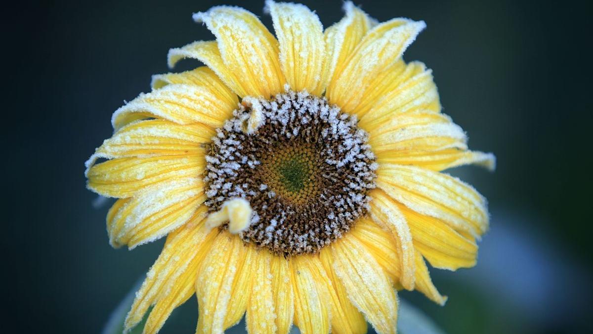 prognoza meteo 10 23 octombrie 2022