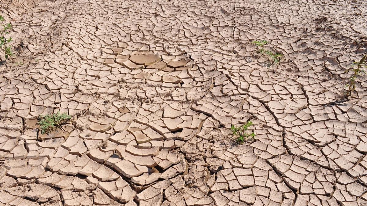 schimbari climatice ameninta productie globala energie