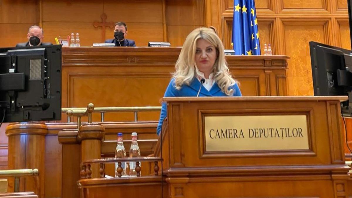 diana morar pnl fara penali buletine de vot