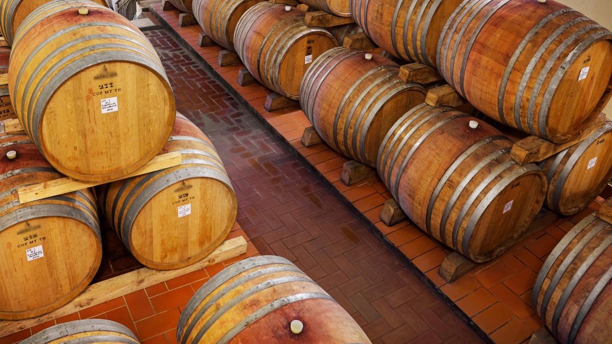 dosar penal amenda barbat pivnita 200 litri vin nunta