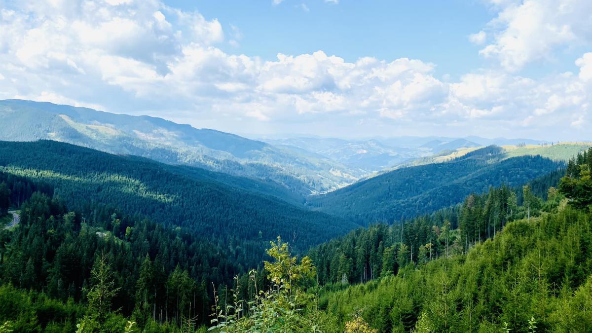 guvernul ofera bani pentru afaceri in zonele montante anuntul facut de ministrul petre daea