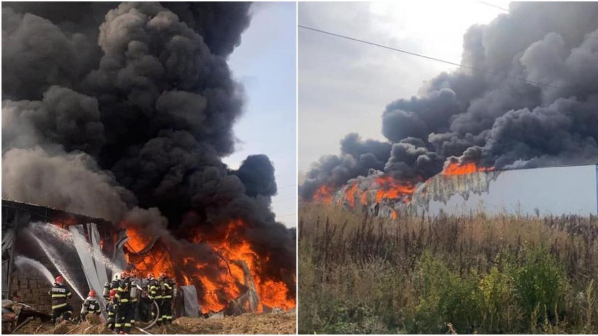 minister mediu recomanda locuitori voluntari limitare activitate aer liber