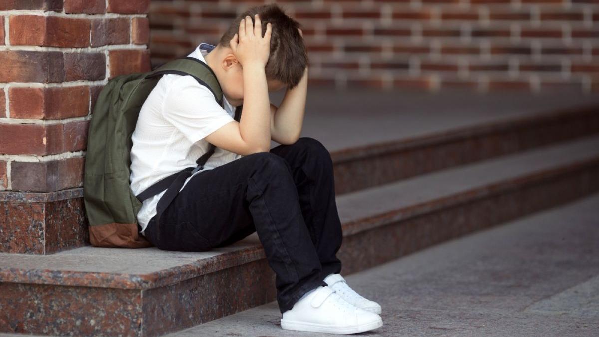 combatere fenomen bullying conferinta webdidactica fdvdr