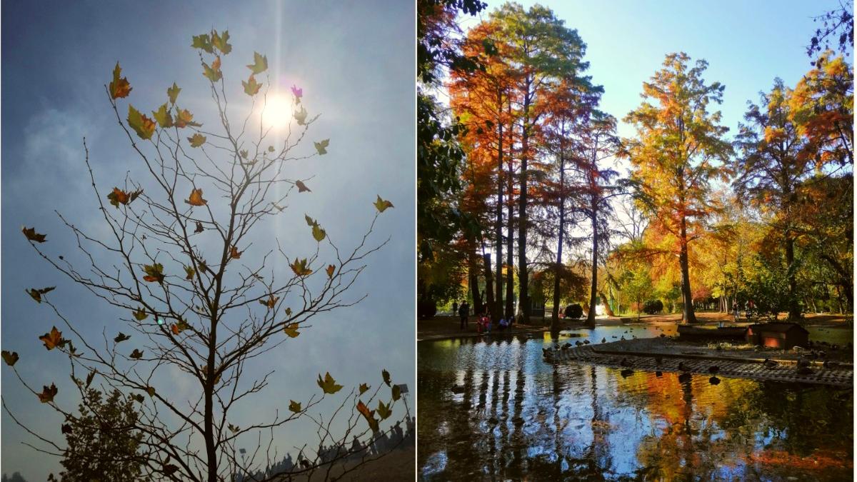 prognoza meteo actualizata vreme weekend