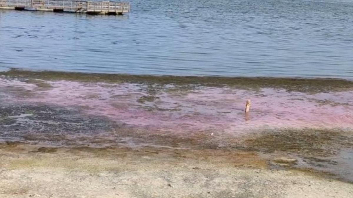 fenomen bizar constanta apa lacului techirghiol roz