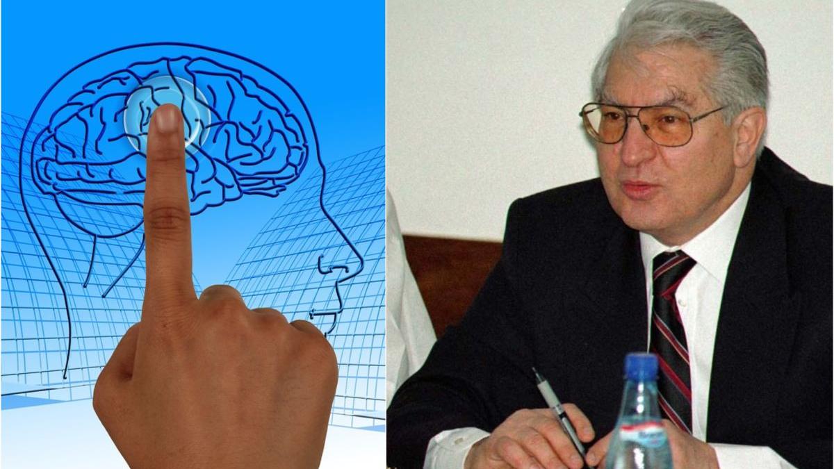 cea mai buna carne creier vlad ciurea