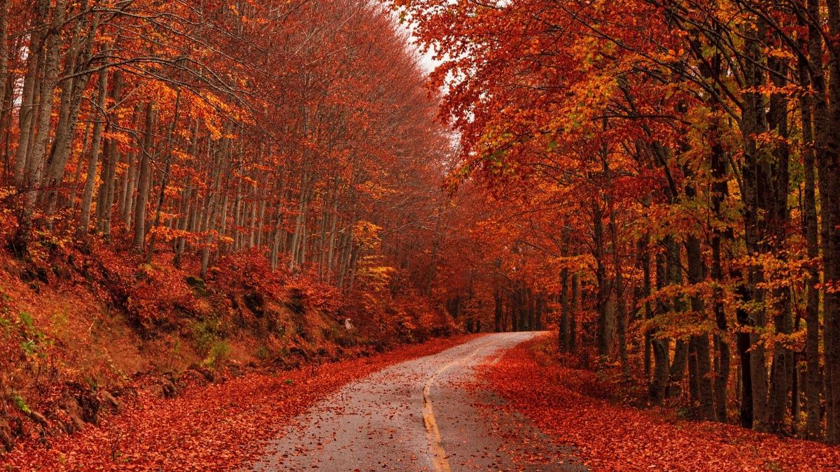 prognoza meteo anm vremea romania