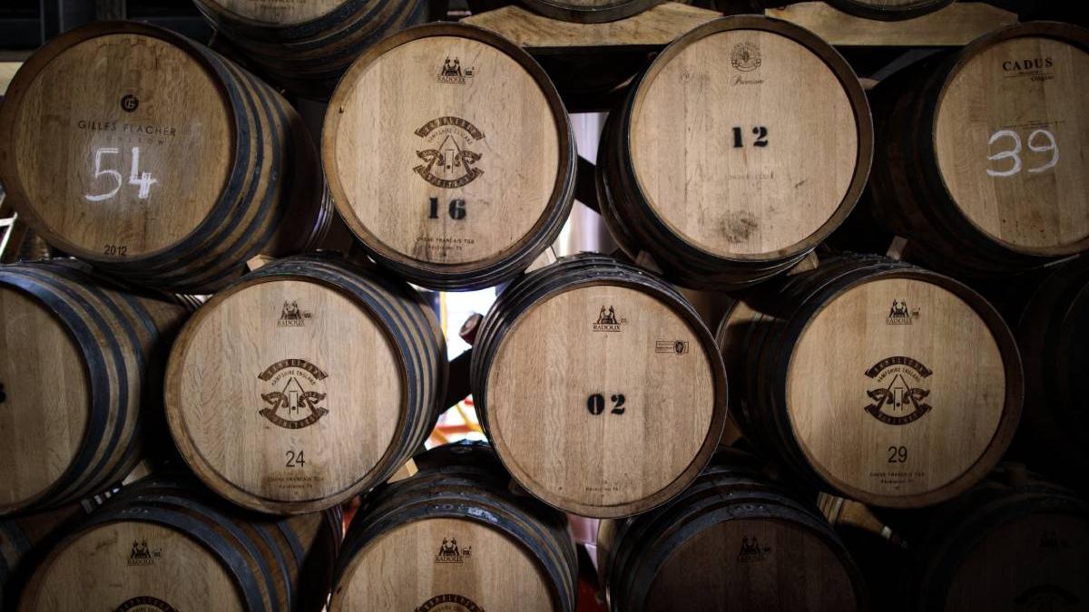 amenda dosar penal barbat 200 litri vin beci nunta fiului alba