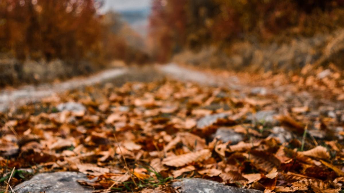 anm prognoza meteo vremea romania