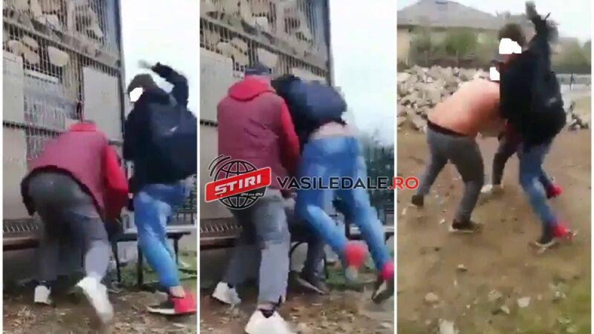 elev clasa a 8 a batut bestialitate scoala viseu de sus