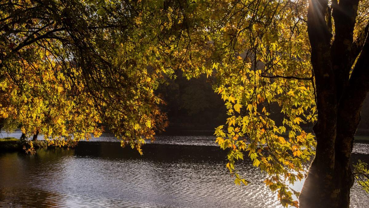 prognoza meteo 17 14 noiembrie 2022