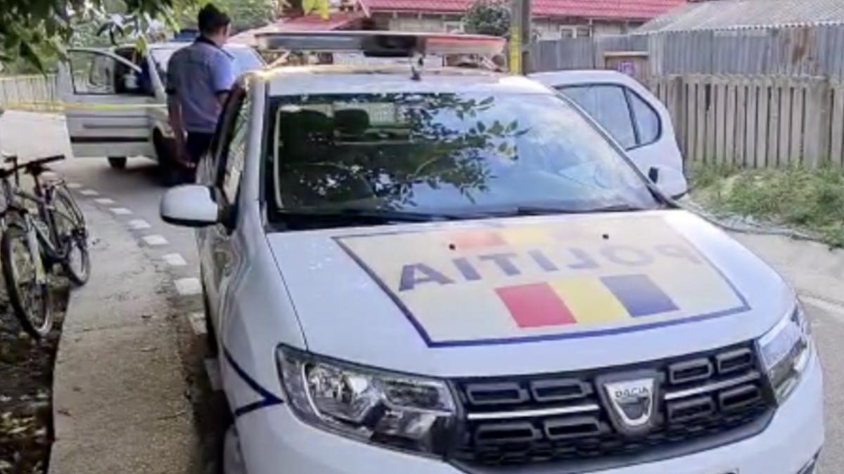 elvetian retinut a intrat intentionat cu masina turma oi vecerd sibiu