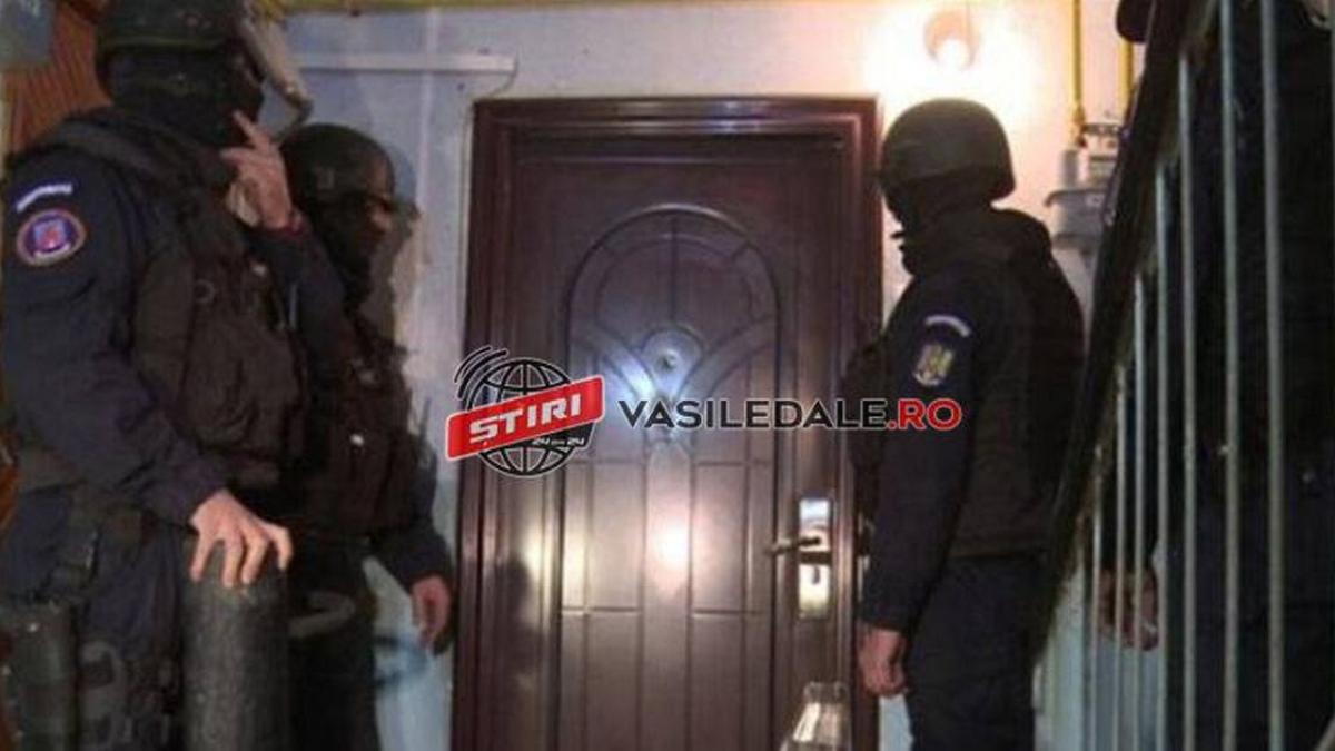 mascati satu mare greseala adresa traficanti apartament batrani carei
