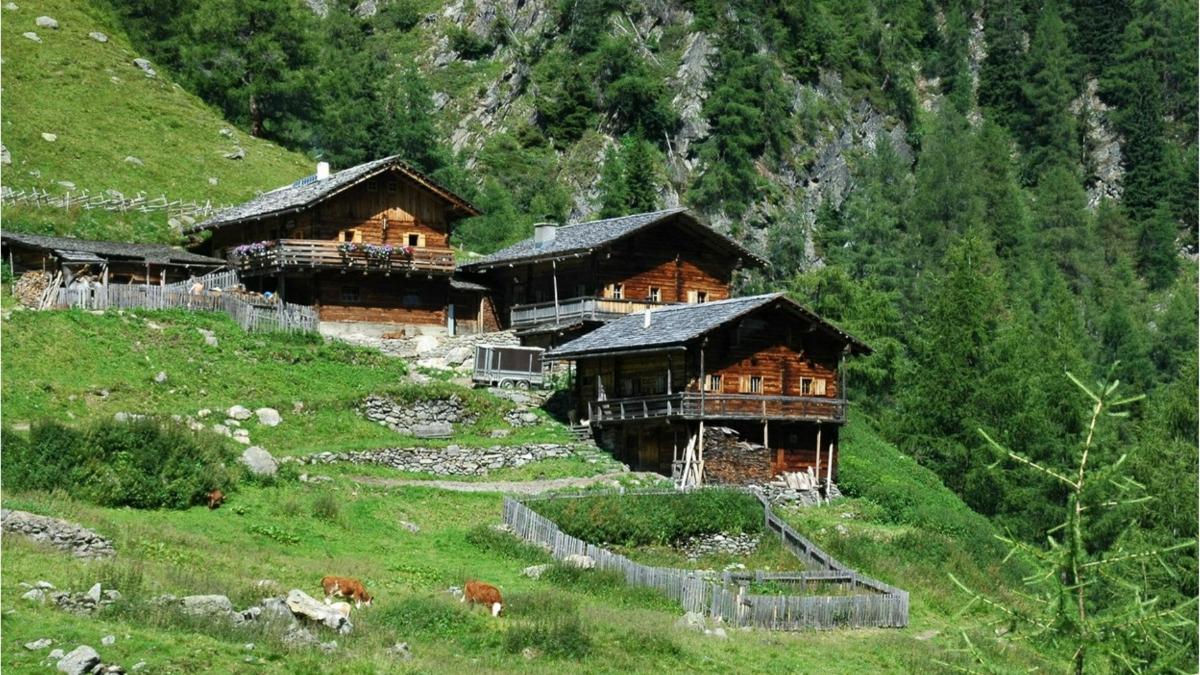 bani finantare afaceri munte