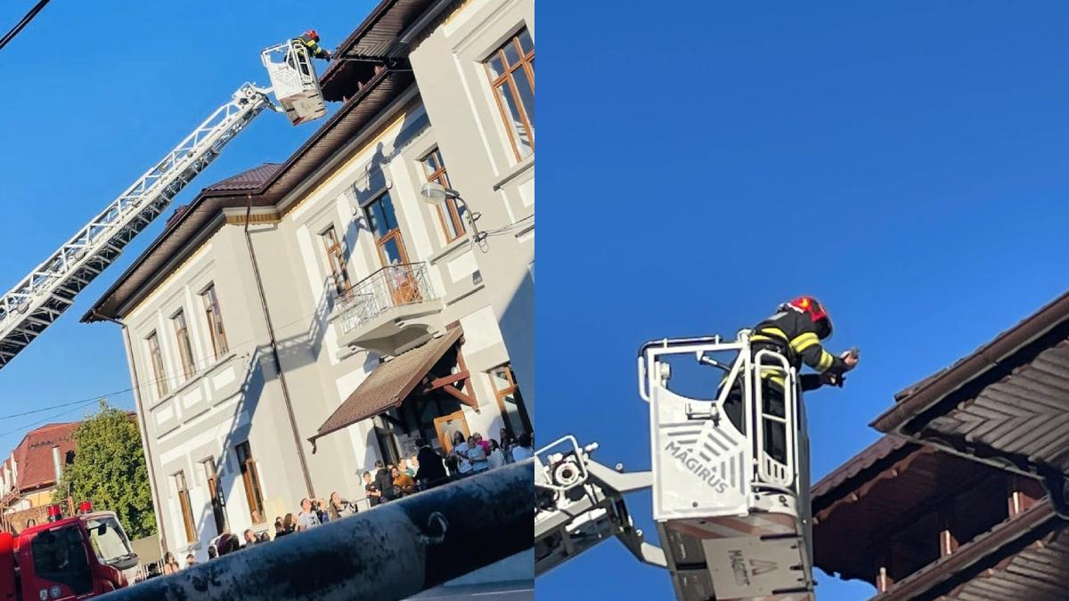 actiune inedita pompieri isu gorj salvare porumbel prins acoperis scoala
