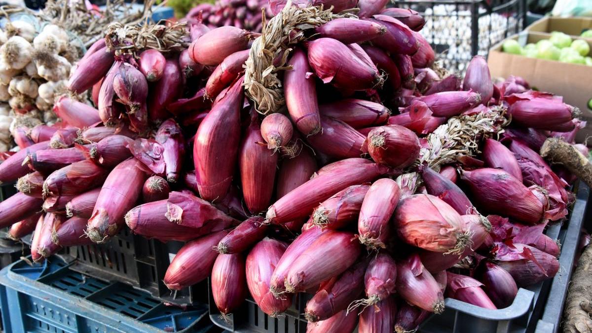 banca de gene a romaniei de la buzau atacata din interiorul si din afara tarii