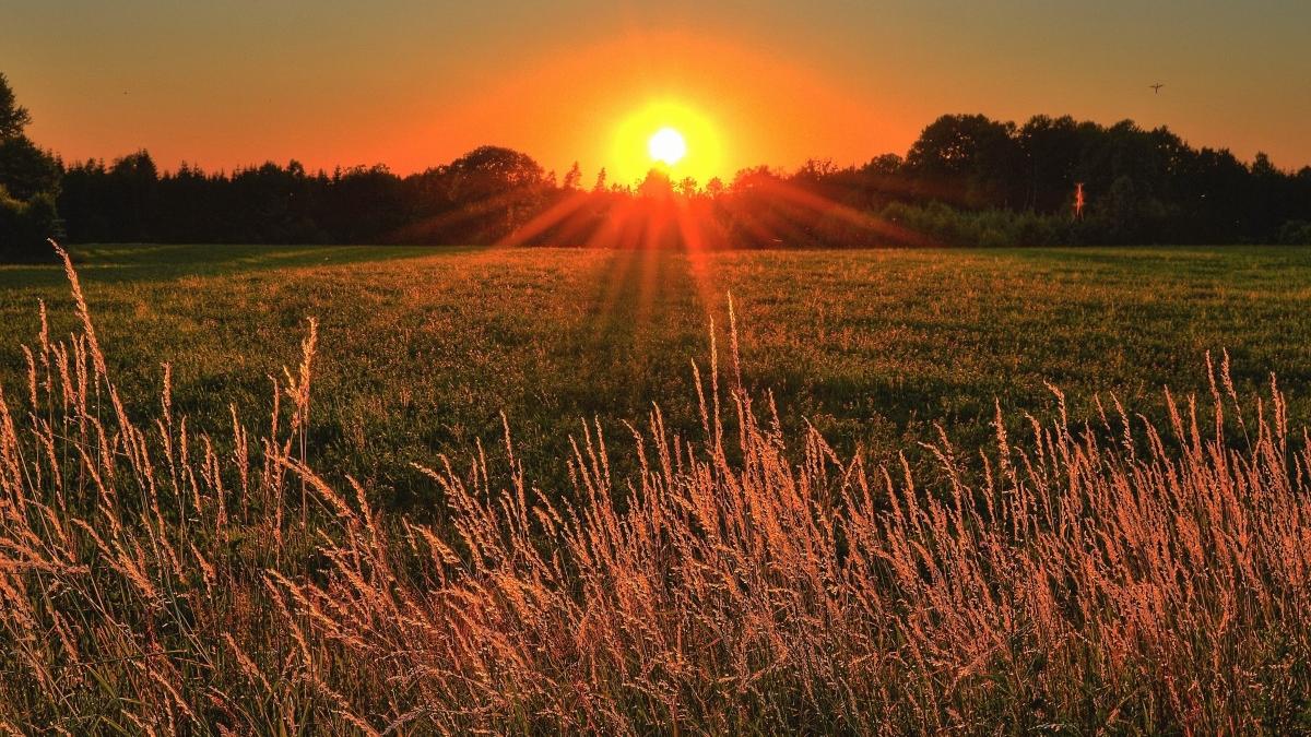 duminica cea mai calda dimineata 23 octombrie 2022 masuratori