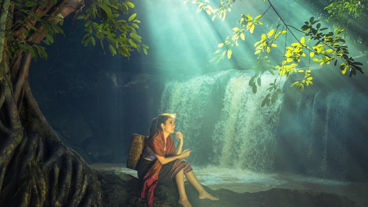 locul unic romania safari detlta dunarii padurea caraorman