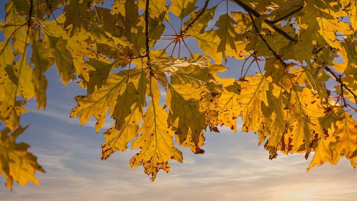 schimbare dramatica vreme 28 grade prag iarna prognoza meteo