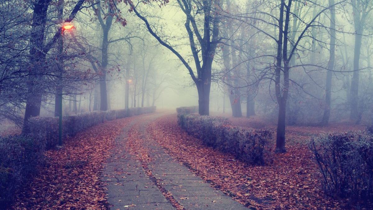 cand vine frigul in romania elena mateescu toamna extreme