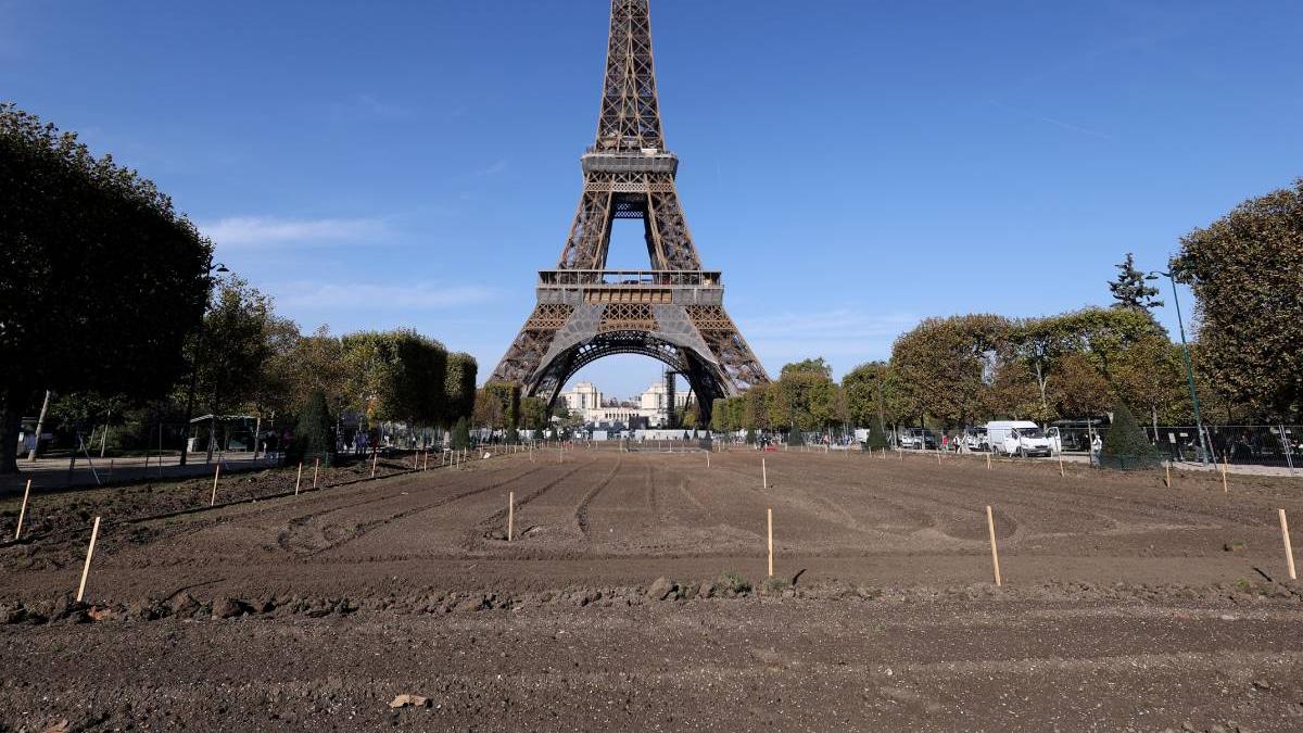 revolta roman paris sobolani morman de fiare