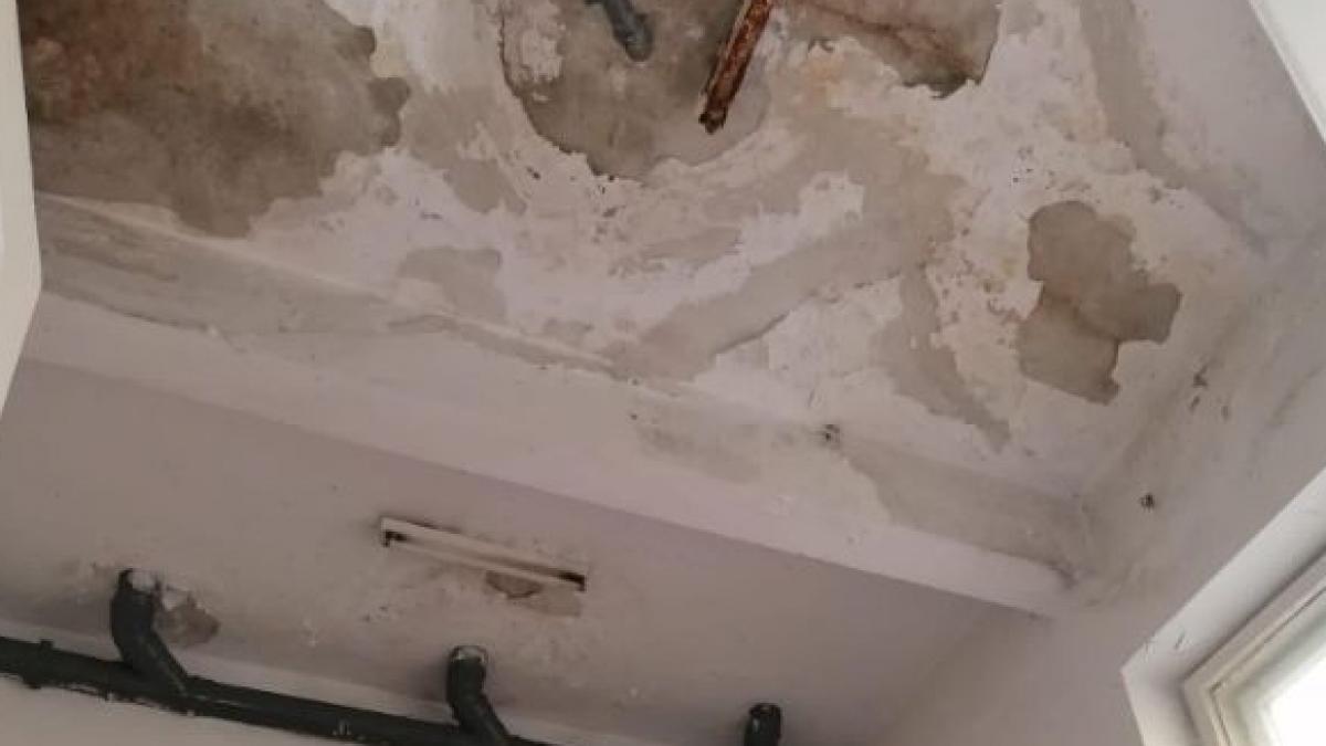 sindicatul europol grupuri sanitare facultatea de jandarmi