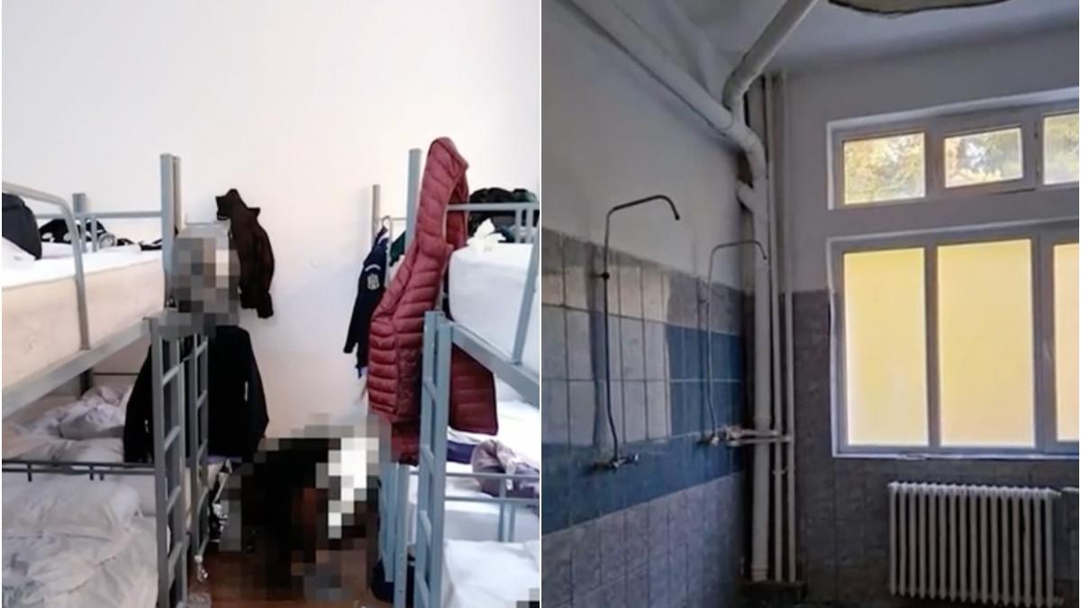 sobolan holuri camin academia politie