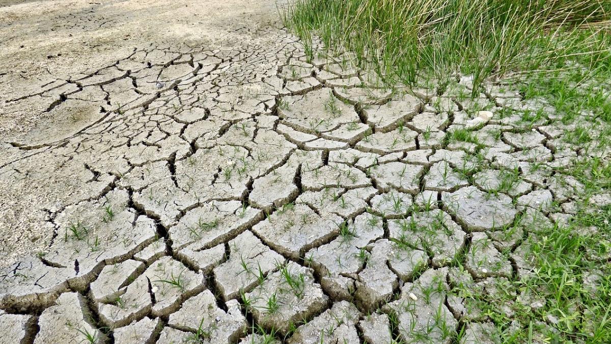 onu antonio guterres clima schimbari climatice