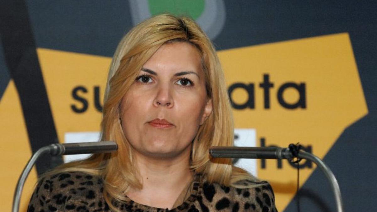anaf scoate licitatie sase terenuri sector 1 elena udrea