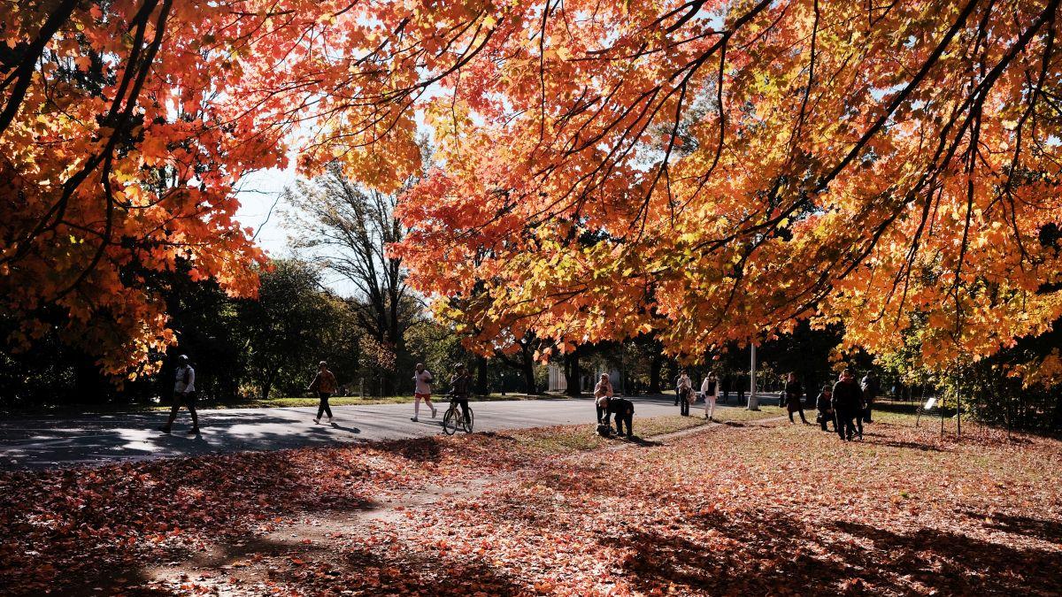alina serban meteorolog val aer cald romania