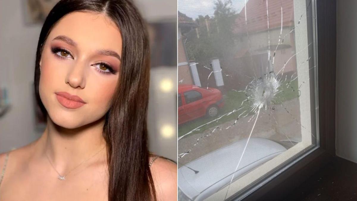 gimnasta mirela francu tanar arma geamuri casa