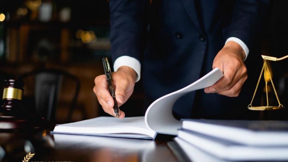 accident rutier avm consult dispozitie avocat accidente rutiere