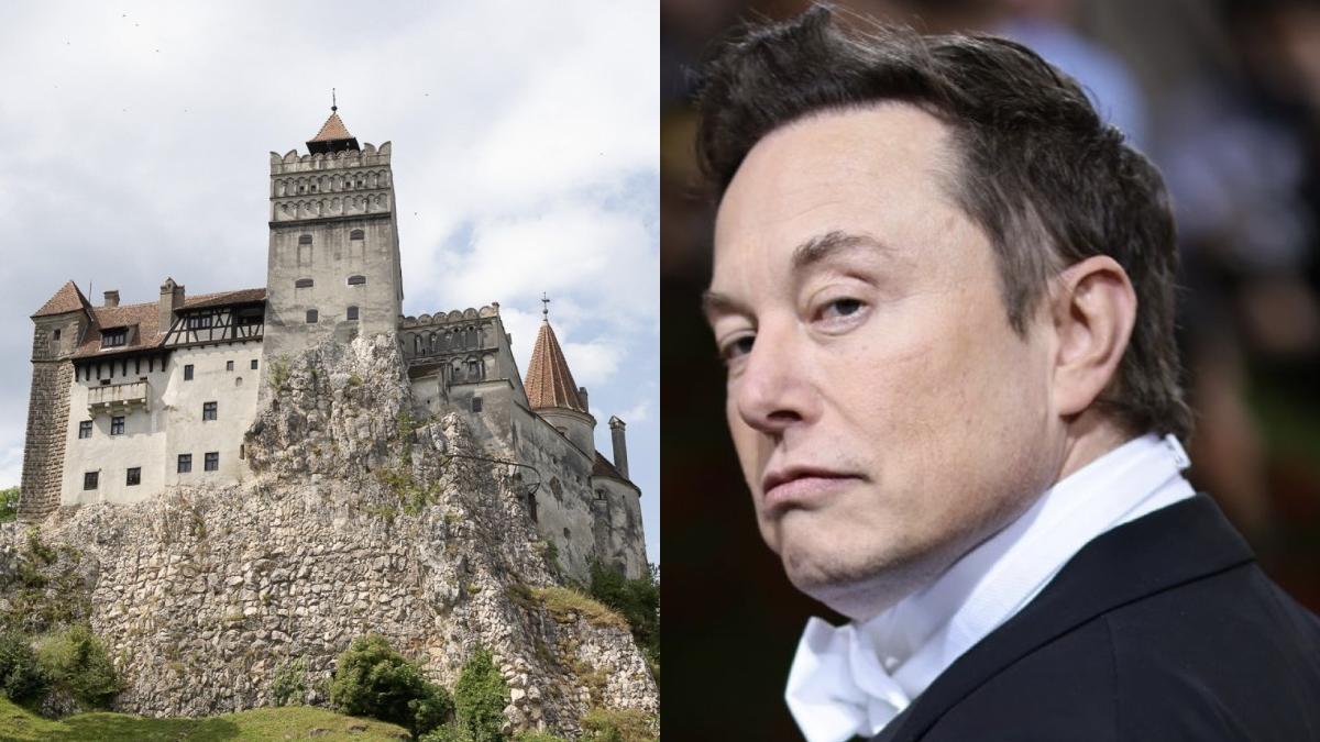 afacerist roman ofera 10 000 euro oricui confirma elon musk bran weekend