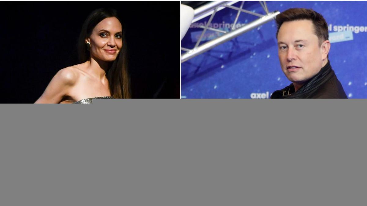 elon musk angelina jolie nu au intrat romania