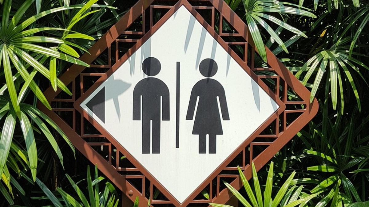 romani nu au declarat fose septice primarie amenzi uriase garda de mediu