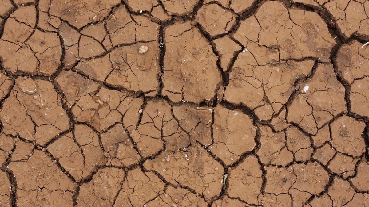 suprafa afectata seceta romania a depasit un milion hectare teren agricol