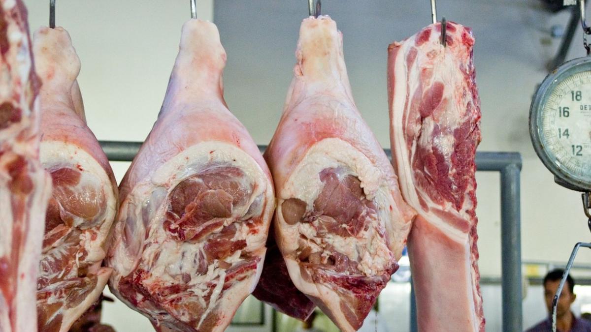 dezastru national atac din interior la siguranta alimentara a romanilor pesta porcina fermieri dsv