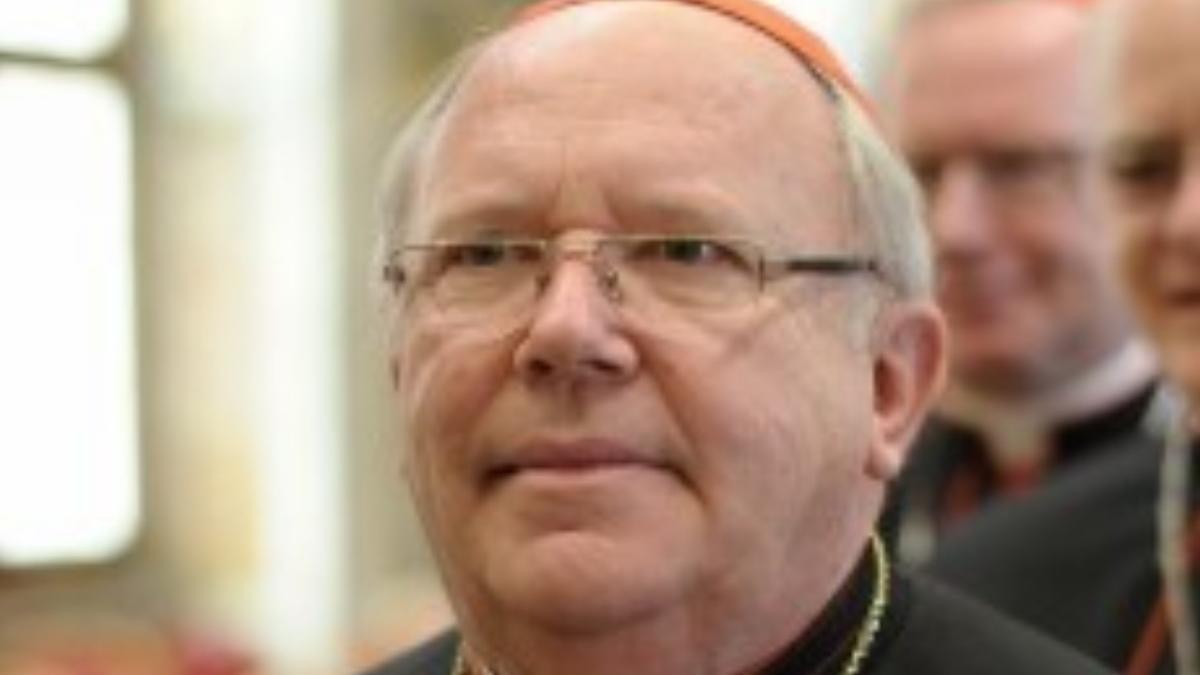 cardinal francez recunoaste un vechi abuz asupra unei minore