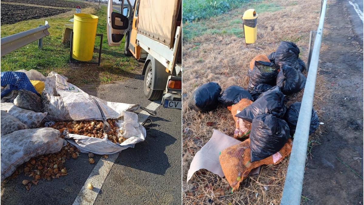 ceapa cartofi foi varza gunoi lasat romani marginea drumurilor