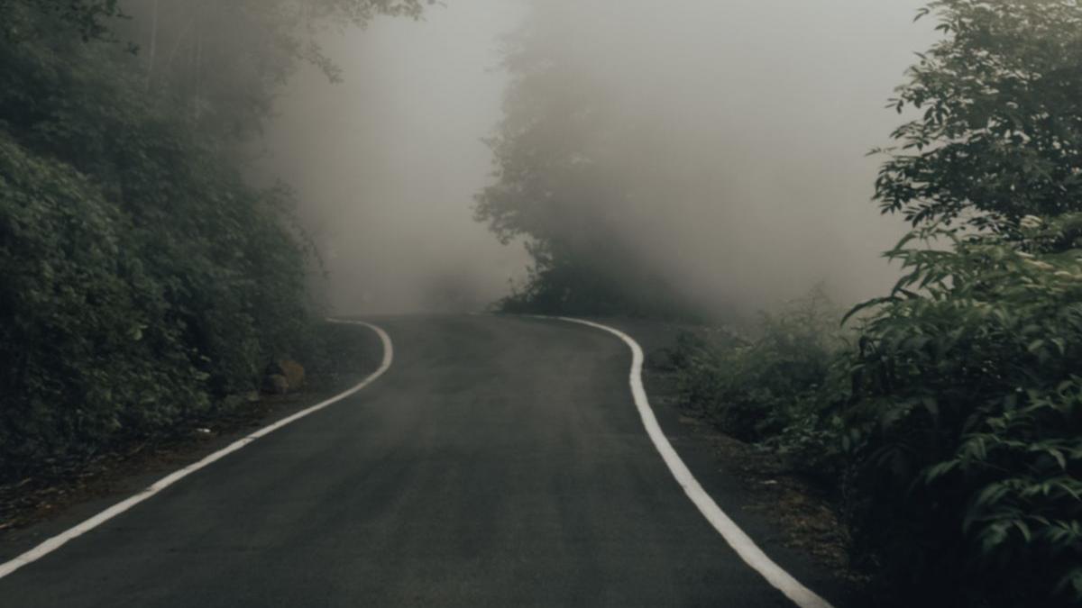 cod galben de ceata in judetul bihor