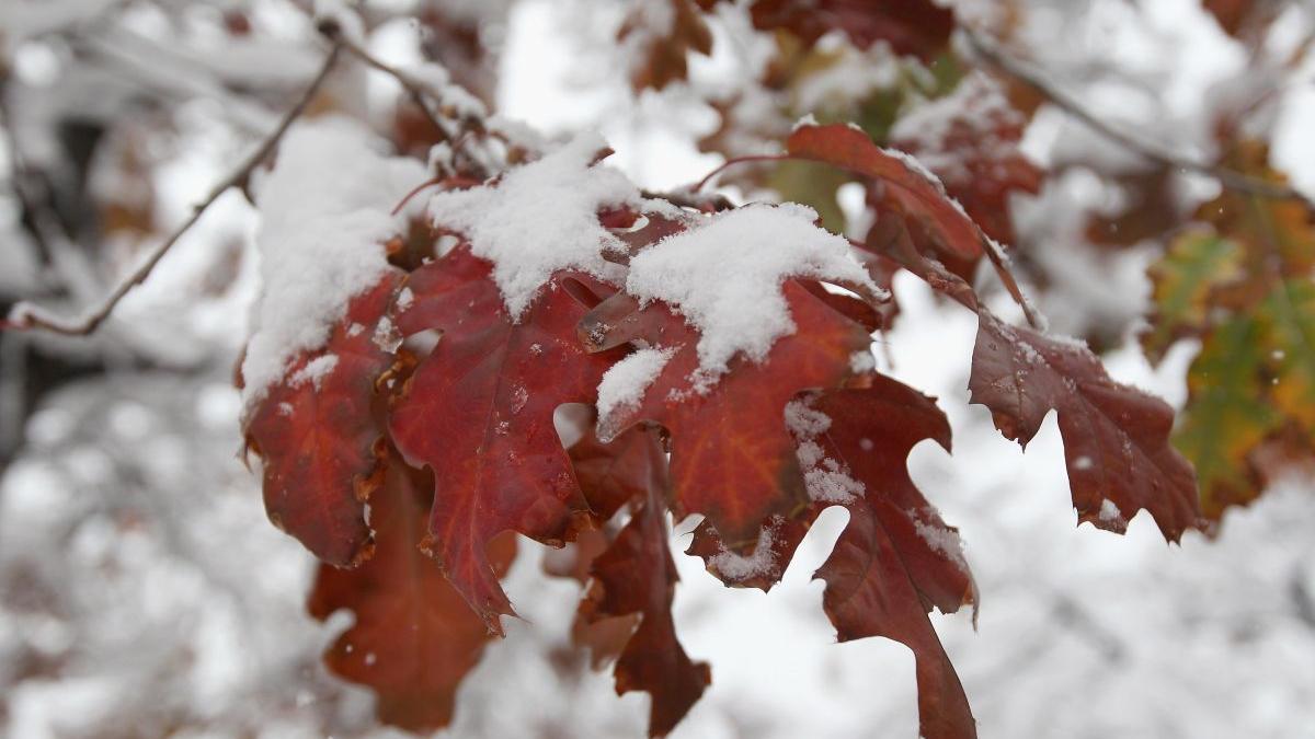 prognoza meteo vremea racire ploi lapovita ninsori
