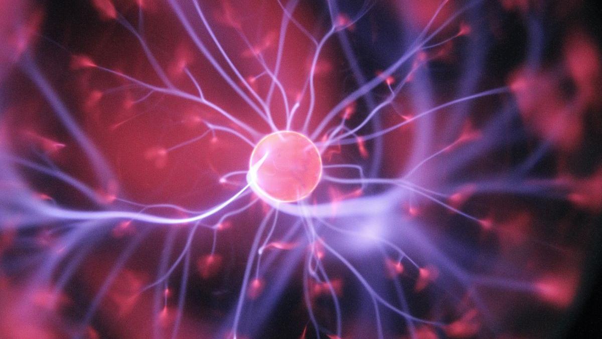 schimbari produc creier indragostim